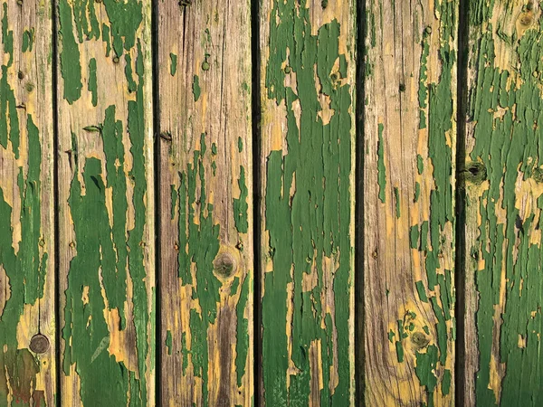 Placa de madeira verde — Fotografia de Stock