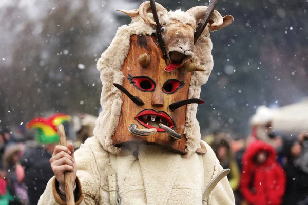 Festival of the Masquerade Games Surova in Breznik, Bulgaria. — Stock Photo, Image