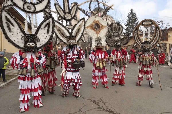 Masquerade fesztivál Breznik, Bulgária — Stock Fotó