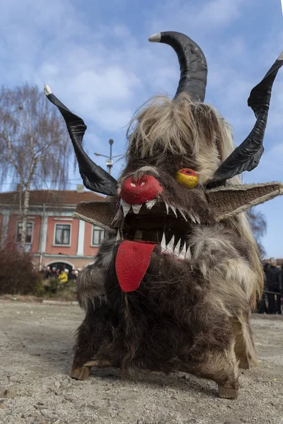 Bulgaristan 'ın Breznik kentinde maskeli balo festivali — Stok fotoğraf