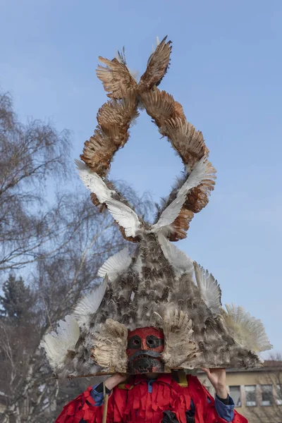 Bulgaristan 'ın Breznik kentinde maskeli balo festivali — Stok fotoğraf