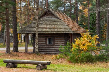 sonbahar ormandaki küçük, eski, günlük ev. Estonya mimari cazibe açık hava Müzesi Tallinn oteli. Sonbahar sezonu. Bir iğne yapraklı orman. Estonya.