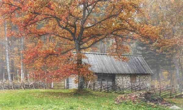 Vintage, rustic house in the autumn mist. The open air Museum in Tallinn. The sights and history of Estonia. Rural landscape. Estonia. Autumn. — Stock Photo, Image