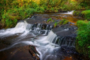 Treppoja Nehri'nde pitoresk boylayacağız. Yaz sezonu. Estonya doğal konumlar. Ormanda nehirdir.