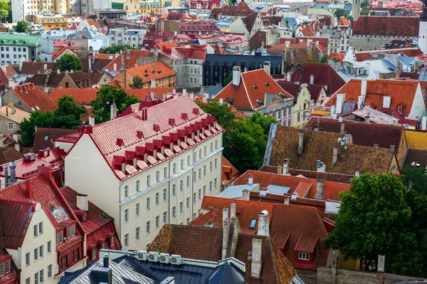 Старый город это вид сверху. Панорама с крыши зданий с красными крышами. Эстония. Лето . — стоковое фото