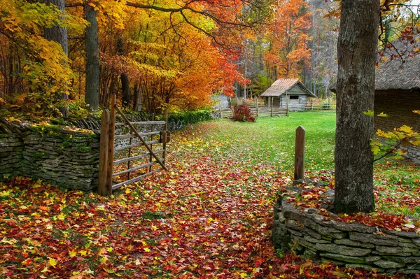 Las puertas de la antigua granja estonia. Granja y otoño dorado. El Museo al aire libre de Tallin. Fotografiado en otoño. Monumento histórico de Estonia. La antigua arquitectura medieval de Estonia . —  Fotos de Stock