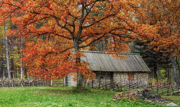 Vintage, falusi házak az őszi erdő. A szabadtéri múzeum Tallinnban. A látvány és történelem, Észtország. Vidéki táj. Észtország. Ősz. Stock Kép