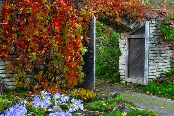 Ősi kapu az őszi, Alma gyümölcsös, melyik van elhelyezett-ban Palmse manor. Mérföldkő az észt nemzeti park Lahemaa. Észtország. Ősz. — Stock Fotó