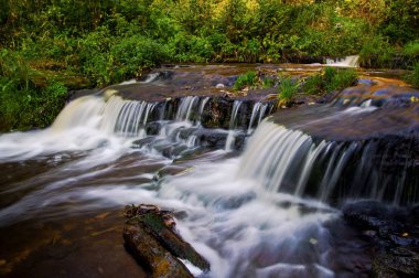 Treppoja Nehri'nde pitoresk boylayacağız. Yaz sezonu. Estonya doğal konumlar. Ormanda nehirdir.