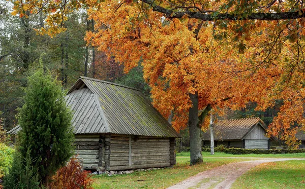Autumn street in the historic village. The medieval attraction in Estonia. Ancient architecture in the open air   Museum in Tallinn. — Stock Photo, Image