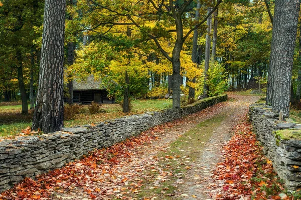 Un colorido camino otoñal en el campo. Antigua arquitectura rústica Estonia, que se encuentra en el Museo bajo el cielo abierto en Tallin. Antiguo hito arquitectónico en Estonia. La temporada Otoño dorado . —  Fotos de Stock