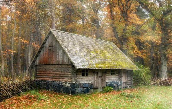 Vintage, rustika grovkök i höst dimman. Utsikt över uteplatsen gård. Det öppna luften museet i Tallinn. Historiska landmärke i Estland. Den gamla medeltida arkitekturen i Estland. Stockfoto