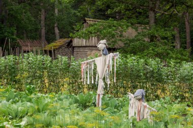 Bir köy bahçesinde hasat koruyan korkuluk. Açık Hava Müzesi Tallinn '. Konumlar ve Estonya tarihi. Kırsal manzara. Yaz sezonu. Güvenlik Bahçe.