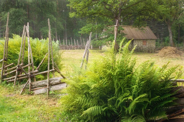 Vintage, rustika hus i morgondimman. Det öppna luften museet i Tallinn. Arkitektoniskt landmärke och historien av Estland. Morgon landsbygdens landskap. Sommarsäsongen. — Stockfoto