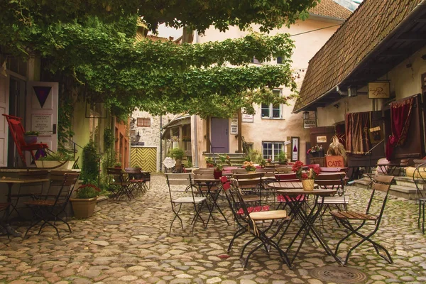 Old Tallinn Estónia Setembro 2019 Pátio Interno Festivo Colorido Mestres — Fotografia de Stock