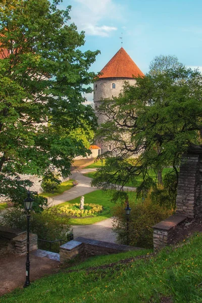 旧タリンの公園と時計塔の眺め 人のいない街の眺め 夏の季節 エストニアの夏のシーズン中の街のカラフルな景色 — ストック写真