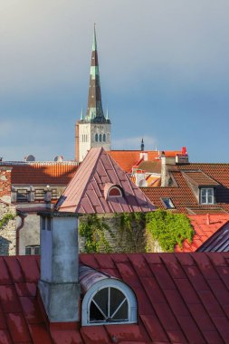 Eski Tallinn 'deki tarihi çatıların en üst manzarası. St. Olav Kilisesi 'nin ana manzarası. Yaz mevsiminde bulutlu hava. Estonya 'nın en önemli tarihi cazibesi.