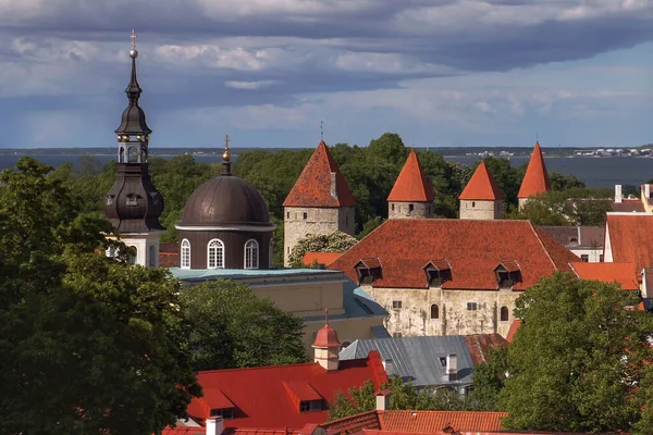 展望台からはタリン旧市街を一望できます 塔付きの旧市街の有名で美しい景色 エストニアの夏 — ストック写真