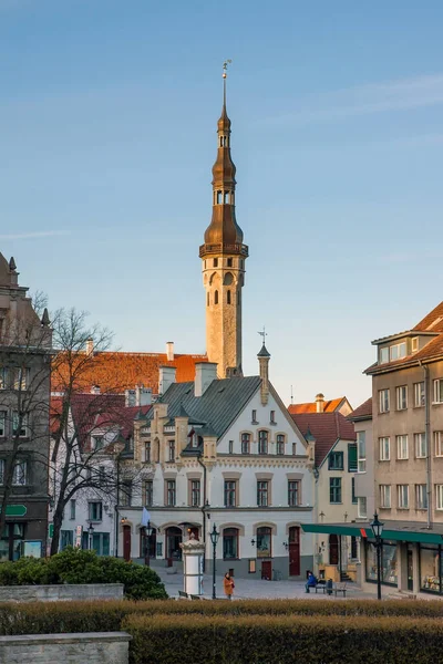 町役場の尖塔を望む古いタリンの絵のような通り 夜の時間帯 日没時の建物の照明 ヨーロッパの春 — ストック写真