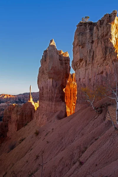 Sunset Point. Bryce Canyon. — Foto de Stock