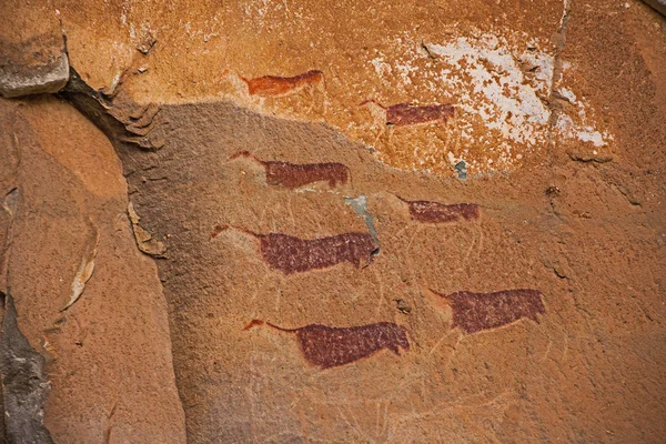 Юар Bushman Rock Art — стоковое фото