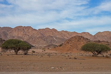 Richtersveld Ulusal Parkı 'ndaki Desert Mountain sahnesi.