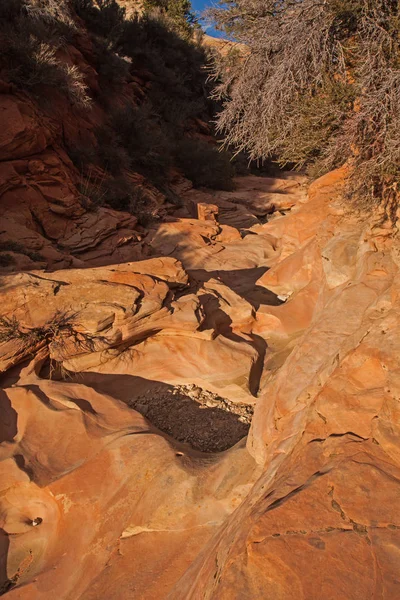 Zion Ulusal Parkı Ndaki Navajo Kum Taşı Kazınmış Kuru Bir — Stok fotoğraf