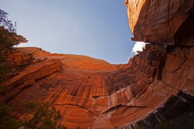 Zion Ulusal Parkı 'ndaki Navajo Sandstone' un dikey uçurumları. Utah.Usa.