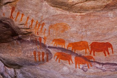 Cederberg 'deki Stadsaal Mağaraları yakınlarındaki tarihi San Rock Sanatı. Batı Burnu, Güney Afrika. Bu bölgede fil olduğuna dair bir kayıt yok..