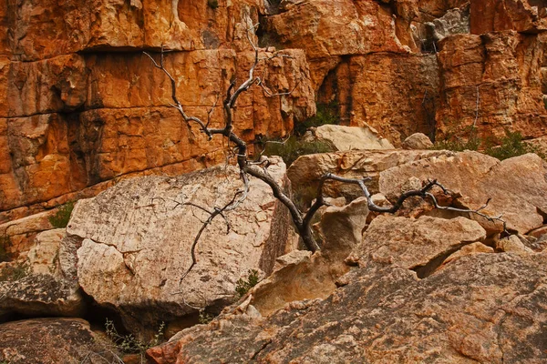 Uma Cena Formações Arenito Altamente Erodidas Área Selvagem Cederberg Cabo — Fotografia de Stock