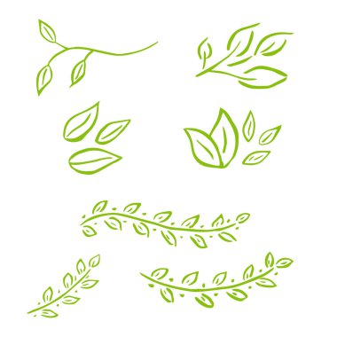 Çiçek elementleri seti