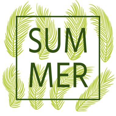 Tropikal palmiye ağacı yaprakları