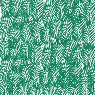 Tropikal palmiye ağacı yaprakları