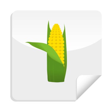 Sağlıklı sebze, vitaminler ve mineraller ile Mısır etiket. Kalite vektör çizim diyet, eko gıda, vegan ve beslenme kavramı yararları hakkında.