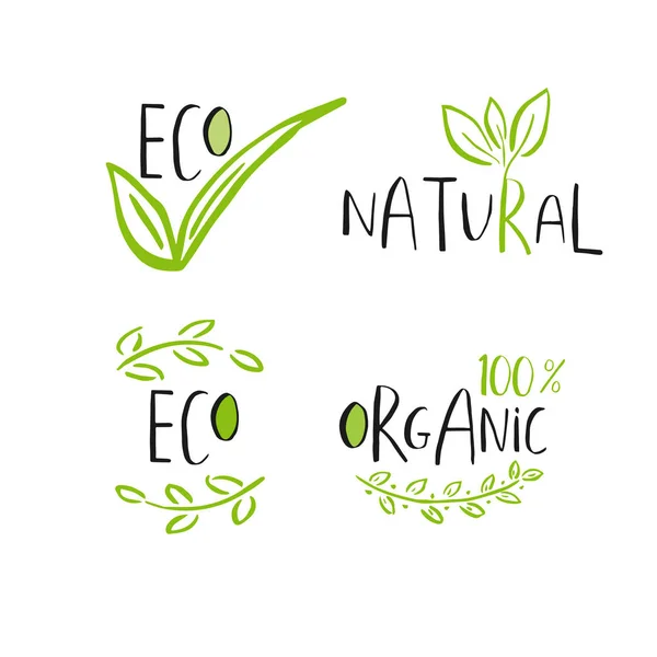 Conjunto Vector Eco Bio Logotipo Verde Sinal Vegan Cru Crachá — Vetor de Stock