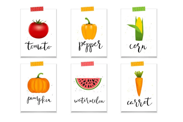 Cards with Healthy vegetables — Stock Vector