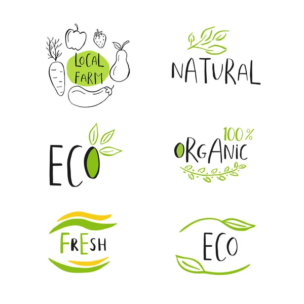 Vector Eco Bio Logotipo Verde Sinais Vegan Crachá Comida Saudável — Vetor de Stock