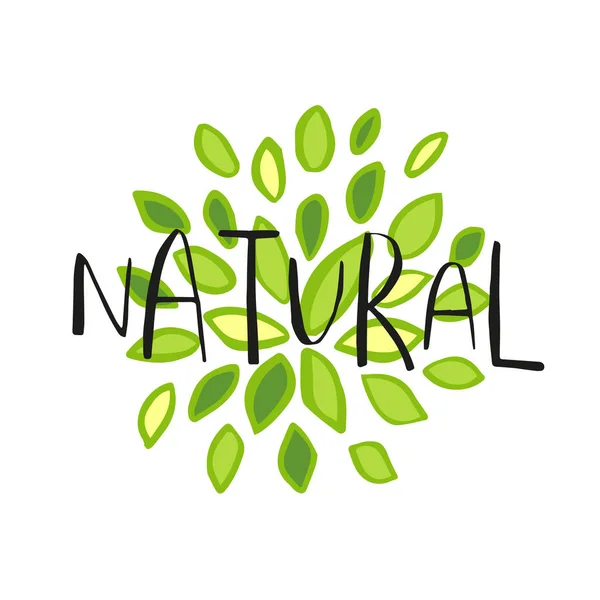 Vettore Eco Logo Verde Bio Segno Vegan Crudo Distintivo Cibo — Vettoriale Stock