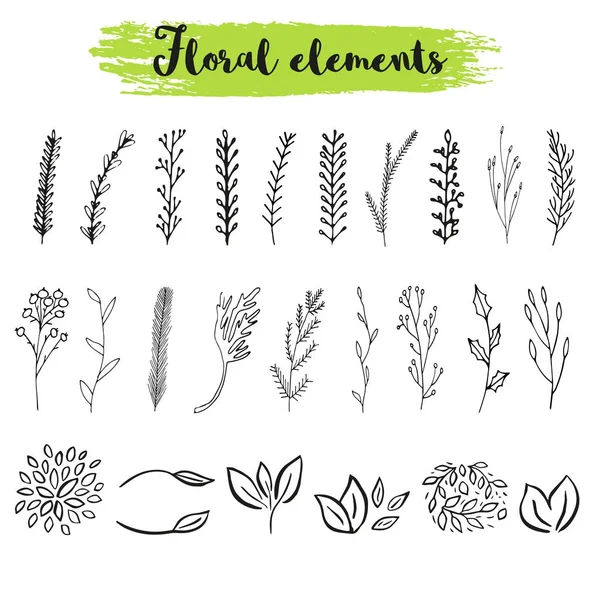 Conjunto de elementos florales — Vector de stock