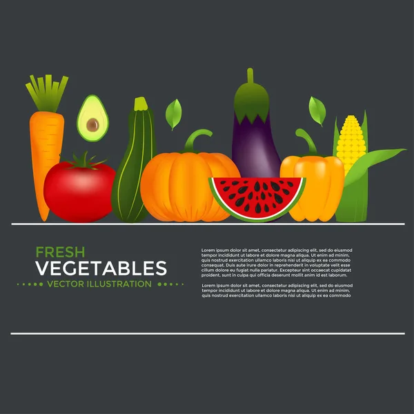 Gesundes Gemüse Karotten Zwiebeln Tomaten Paprika Auberginen Gurken Kohl Kürbis — Stockvektor