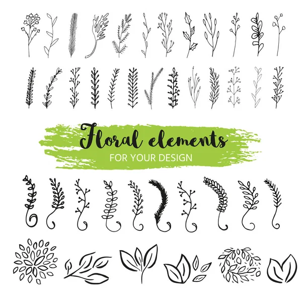 Conjunto de elementos florales — Vector de stock