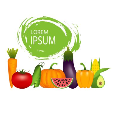 Sağlıklı sebze: havuç, soğan, domates, biber, patlıcan, salatalık, lahana, kabak, iliği karpuz avokado. Kalite vektör çizim diyet Eko yiyecek vegan hakkında