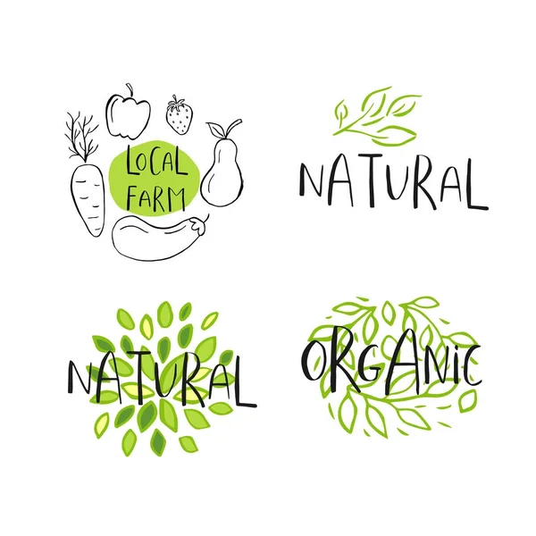 集4矢量生态 生物绿色标志或标志 健康食品徽章 标签为咖啡馆 产品包装 植物元素具刻字 有机设计模板 — 图库矢量图片