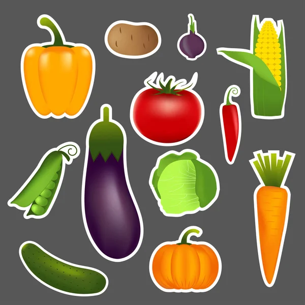 Здоровые Овощи Такие Морковь Лук Помидор Перец Баклажаны Огурец Капуста — стоковый вектор