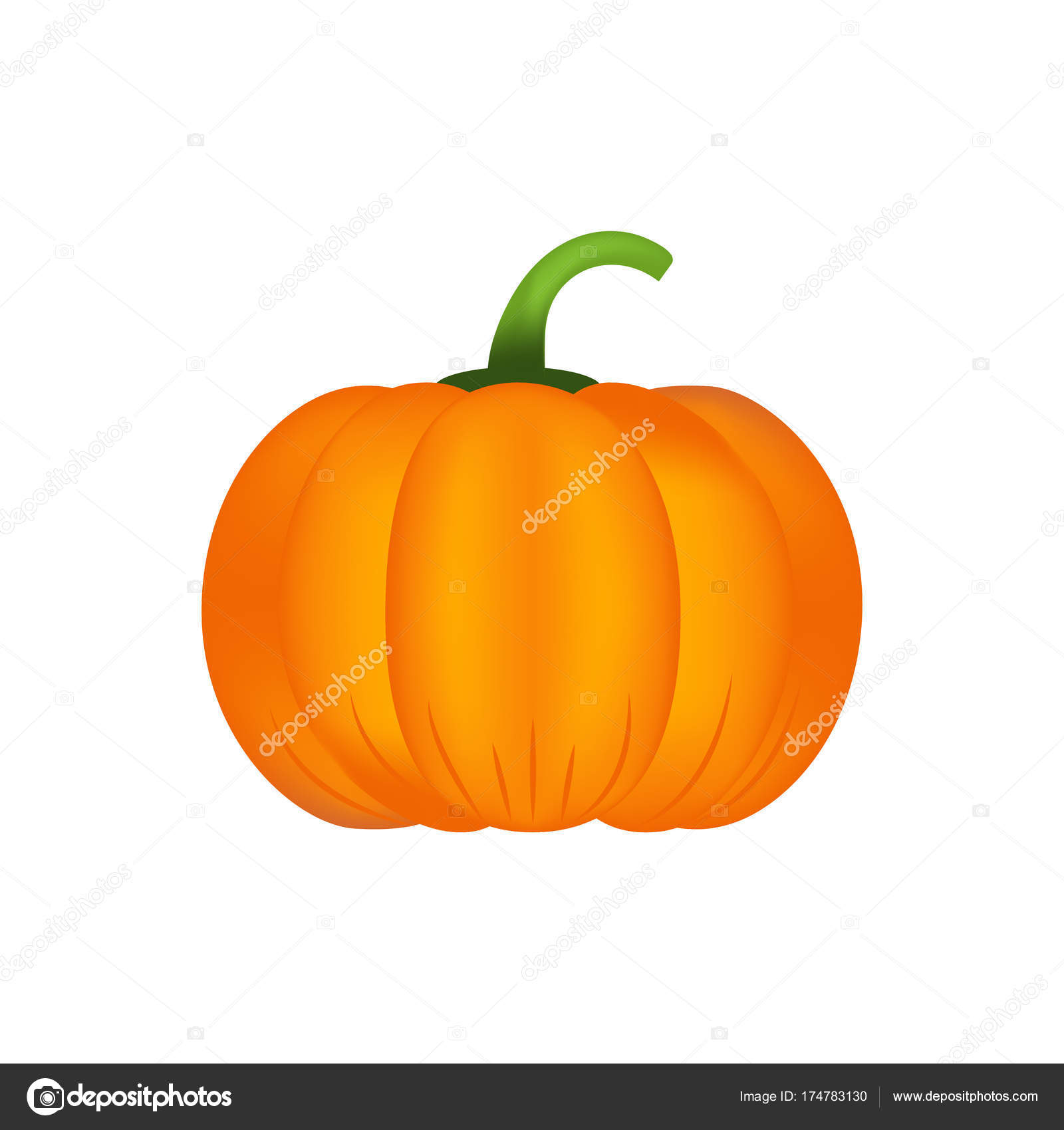 Healthy Pumpkin Vitamins Minerals Quality Vector Illustration Diet Eco