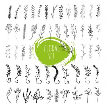 Çiçekler ve dalları ile koleksiyonu bırakır