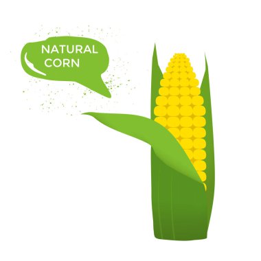 Beyaz arka plan üzerinde izole sağlıklı sebze. Kalite vektör çizim diyet Eko gıda ile ilgili. 