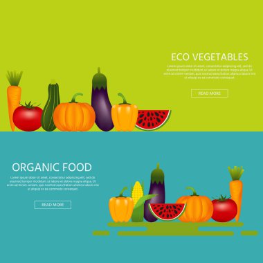 Renkli vektör çizim gerçekçi sağlıklı sebze gibi koleksiyonu ile: karpuz, havuç, domates, biber, patlıcan, kabak, kemik iliği, kabak.