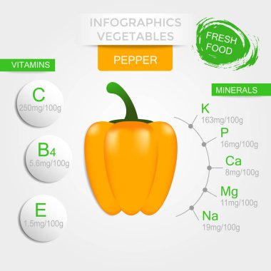 Biber, vitaminler ve mineraller sağlıklı sebze infographics. Kalite vektör çizim diyet, eko gıda, vegan ve beslenme kavramı yararları hakkında.
