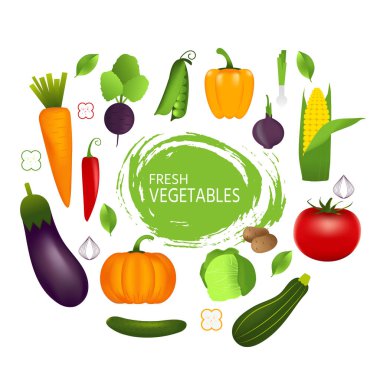 Sağlıklı sebze: havuç, domates, biber, patlıcan, kabak, beyaz arka plan üzerinde izole. Kalite vektör çizim diyet, eko gıda hakkında